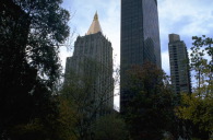 city scene